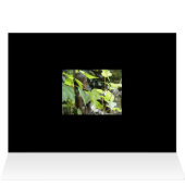 Zen Card (Inside Horizontal (Top))