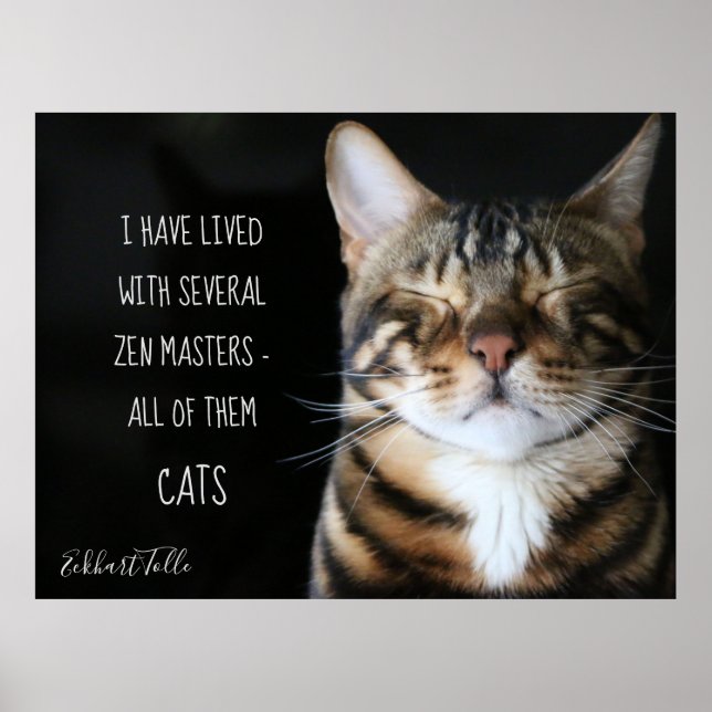 Zen Cat/ Cat Quote Poster (Front)