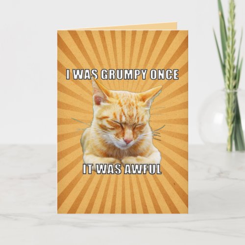 Zen Cat _ I Was Grumpy Once Greeting Card