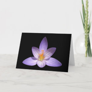 Zen Flower Blank Greeting Card