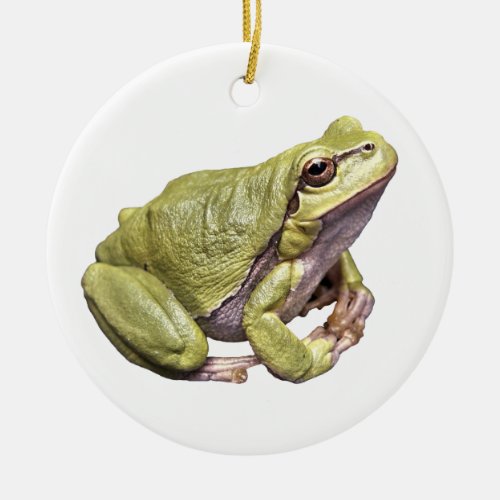 Zen Frog Cute Serene Treefrog Ornament