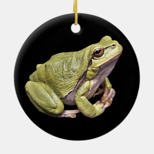 Zen Frog Pale Green Treefrog Black Ornament