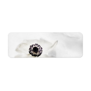 Zen High Key White Anemone on Water Background Label