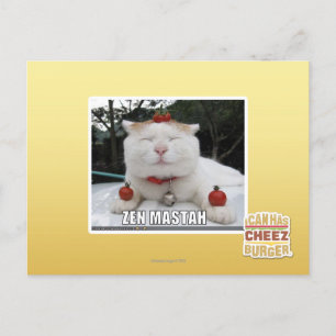 Zen Mastah Postcard