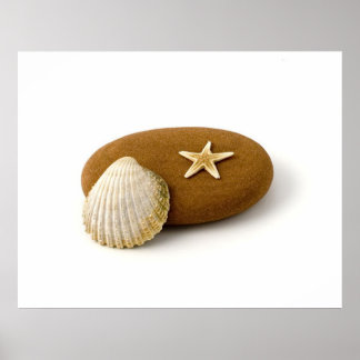 Zen Nature Sea Shell Star fish Pebble Poster