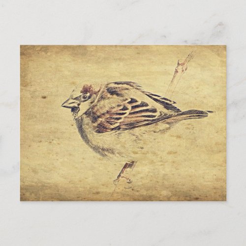 Zen Oriental art pencil sketch wild bird Postcard