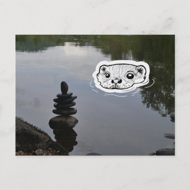 Zen otter postcard (Front)