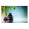 Zen paradise garden,serenity,peaceful,yoga