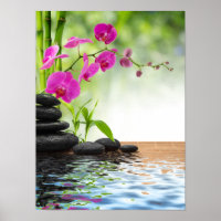 zen,peace,pink orchid,beautiful,spa,healing,yoga,c