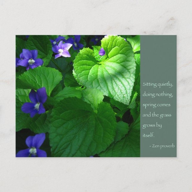 Zen Proverb Quote Poster Postcard (Front)
