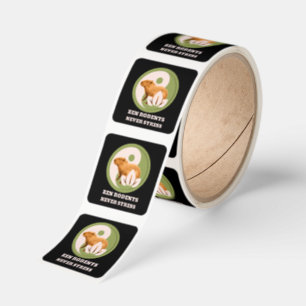 Zen Rodents Never Stress Capybara Humor Square Sticker
