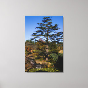 Zen Tree Portrait Canvas Print