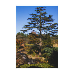 Zen Tree Portrait Canvas Print