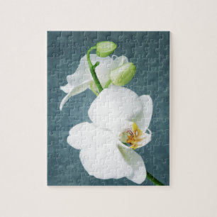 Zen White Orchid Flower Jigsaw Puzzle