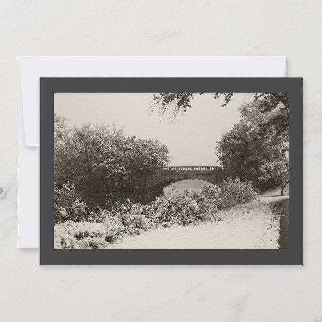 Zen Winter Snowfall II Invitation (Front)