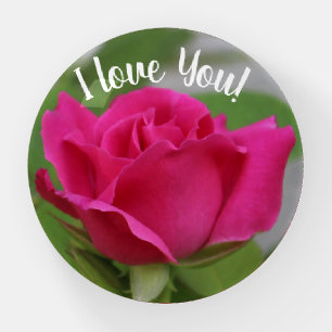 Zepherine Drouhin Rose Paperweight