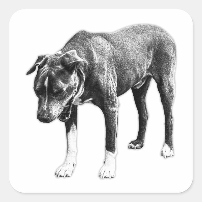 Zero Filter – Head-On Dog Yawn Square Sticker (Front)