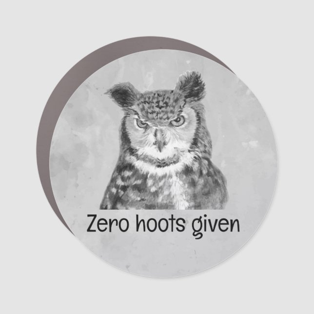 Zero Hoots Given Sarcastic Fun  Car Magnet (Front)