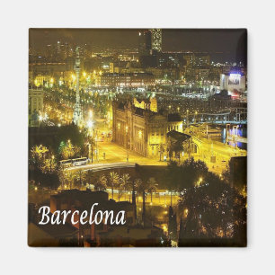 zES018 BARCELONA by Night, Spain, Fridge Magnet