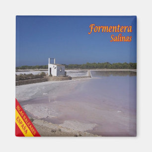 zES068 FORMENTERA SALTWORKS, Balearic, Fridge Magnet