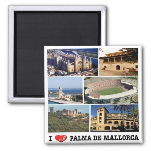 zES117 PALMA DE MALLORCA panorama Fridge Magnet