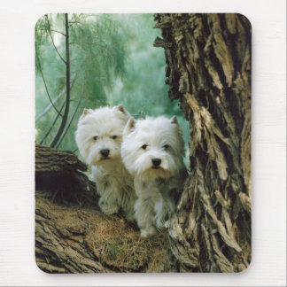 Zest and Donna(Mother and Daughter Take 2) Mouse Pad