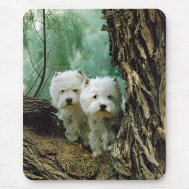 Zest and Donna(Mother and Daughter Take 2) Mouse Pad (Front)