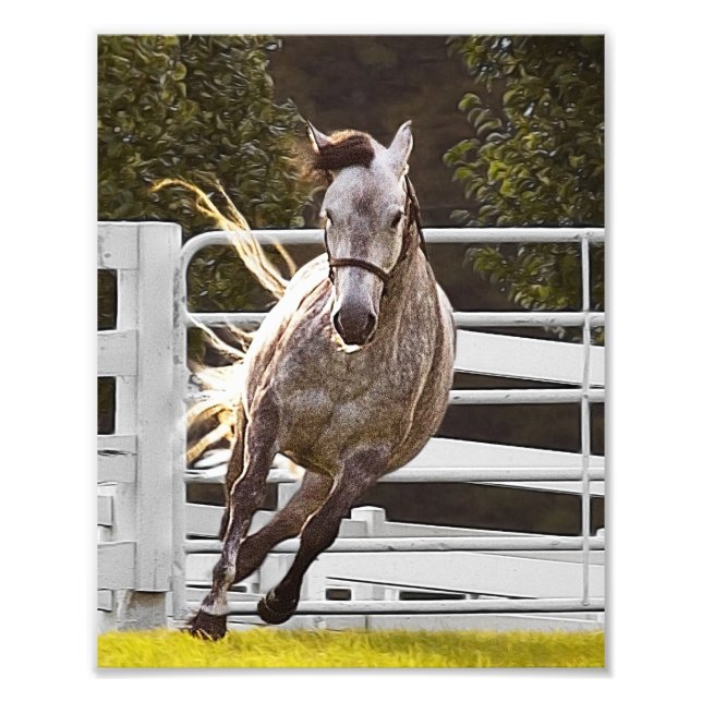 Zest For Life Photo Print (Front)