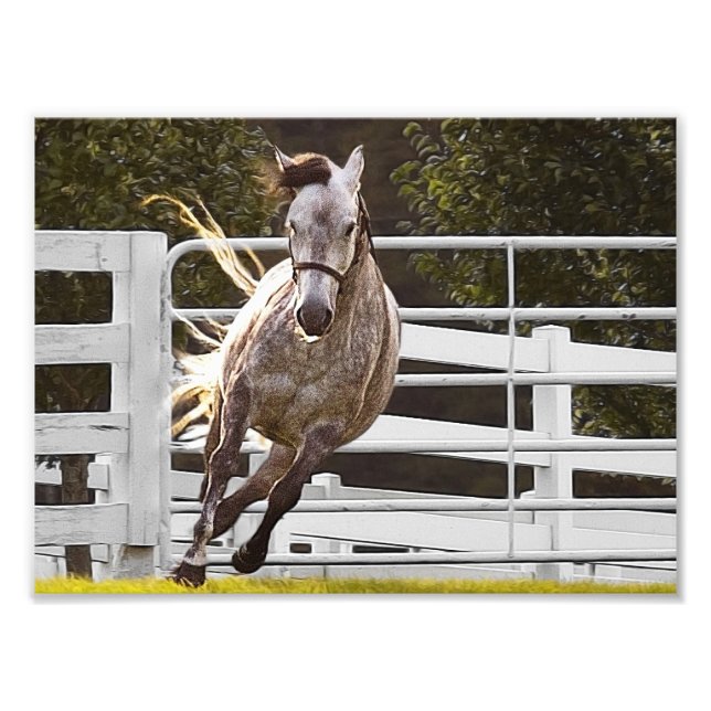 Zest For Life Photo Print (Front)