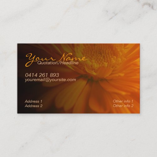 ZeSTiVE Business &amp; Personal Card Business Card Template