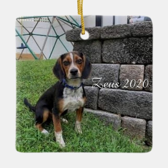 Zeus 2020 Christmas Ornament (Front)