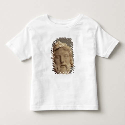 Zeus 69_96 AD Toddler T_shirt