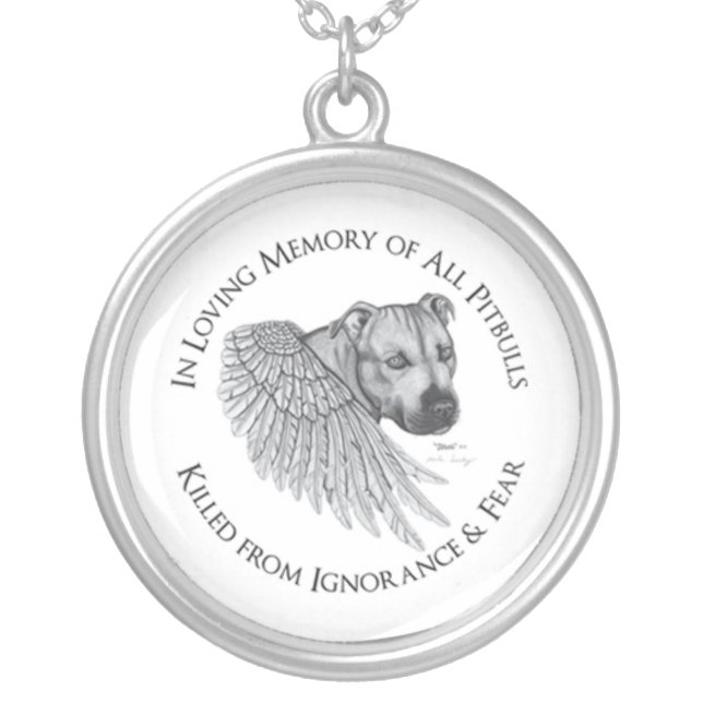 Zeus angel silver plated necklace (Front)