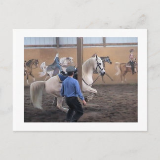 Zeus, Levade in the pillars Postcard