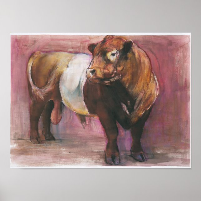 Zeus Red Belted Galloway Bull 2006 Poster (Front)