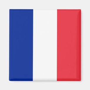 zFR001 French FLAG, France, Fridge Magnet