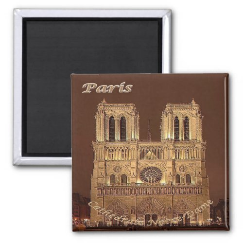 zFR061 NOTRE DAME Paris France Fridge Magnet