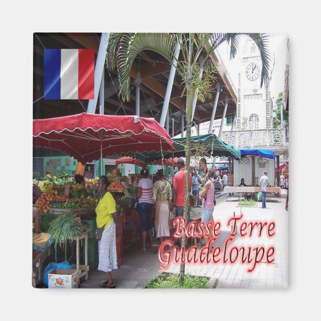zGP007 GUADELOUPE, Basse-Terre, Fridge Magnet (Front)