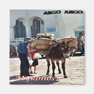 zGR119 MYKONOS Donkey, Greece, Fridge Magnet