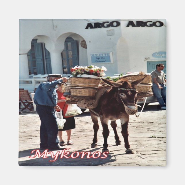 zGR119 MYKONOS Donkey, Greece, Fridge Magnet (Front)