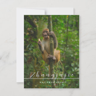 Zhangjajie national park postcard 