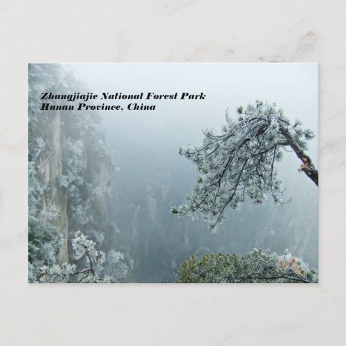 Zhangjiajie National Forest Park Hunan China Postcard