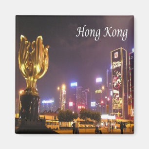 zHK027 HONG KONG panorama by night, Asia, Fridge Magnet