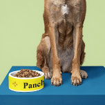 Zia Sun<br><div class="desc">Let your dog/cat show their New Mexico Pride with this Personalized Zia Sun food/water bowl.</div>