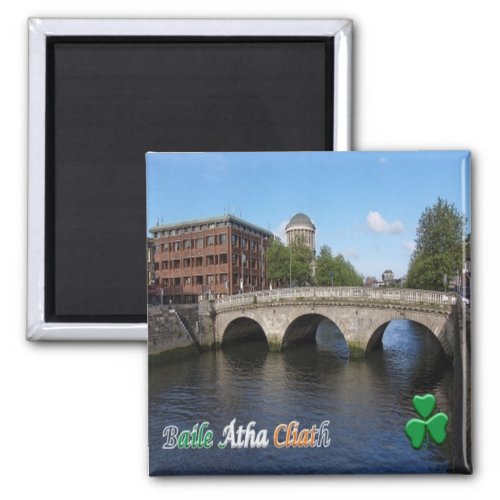 zIE008 DUBLIN Ireland Fridge Magnet