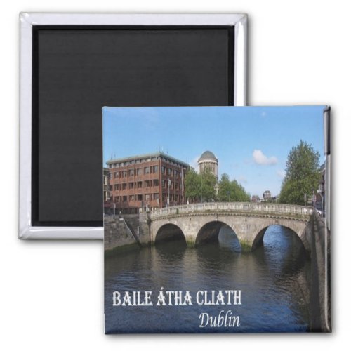 zIE010 DUBLIN Baile tha Cliath Ireland  Magnet