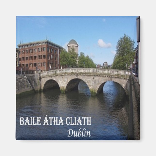 zIE010 DUBLIN, Baile Átha Cliath, Ireland,  Magnet (Front)