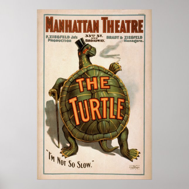ZIEGFELD'S The TURTLE Play VAUDEVILLE Poster (Front)