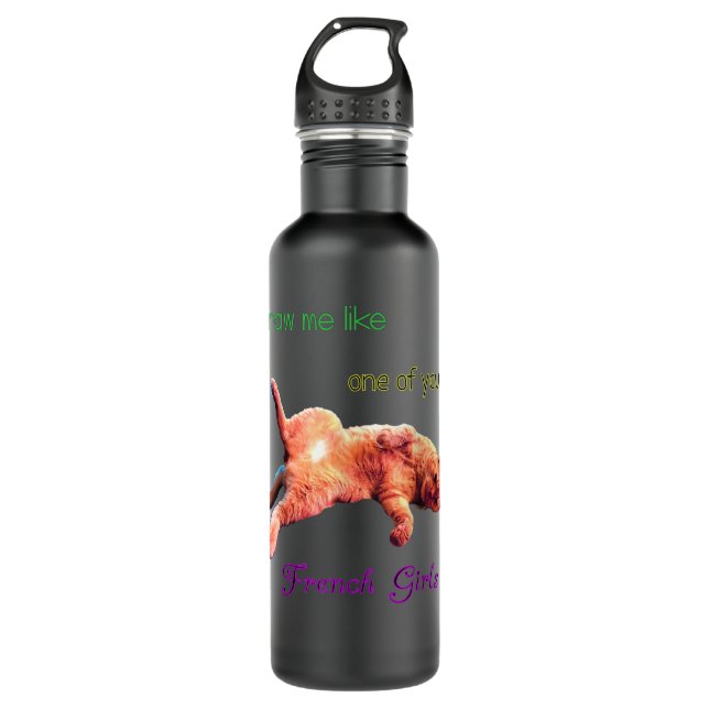 Zigi the Cute Cat Lazy Sideways Cat Funny Saying Stainless Steel Water Bottle (Front)