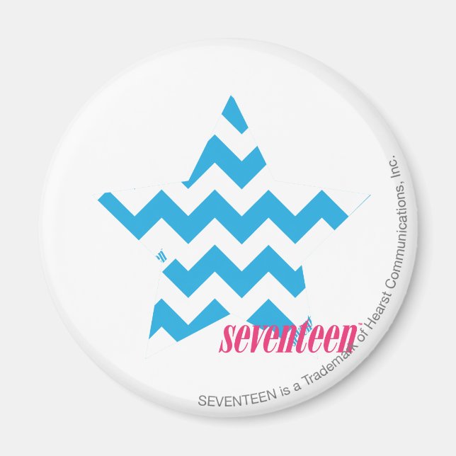 ZigZag Aqua 2 Magnet (Front)